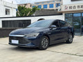 BYD Qin PLUS DM-i 2023 Champion 55KM Base Trim
