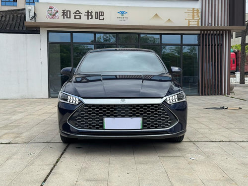 BYD Qin PLUS DM-i 2023 Champion 55KM Base Trim