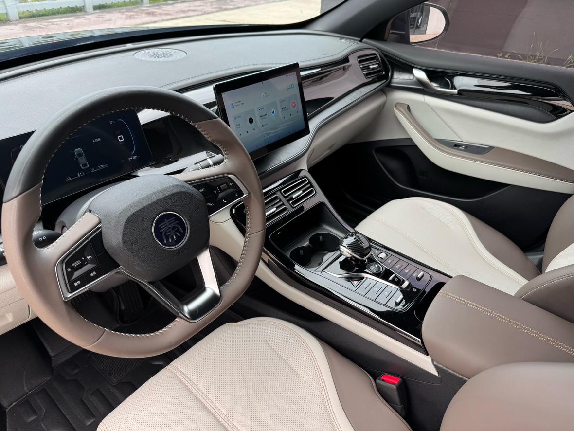 BYD Qin PLUS DM-i 2023 Champion 55KM Base Trim