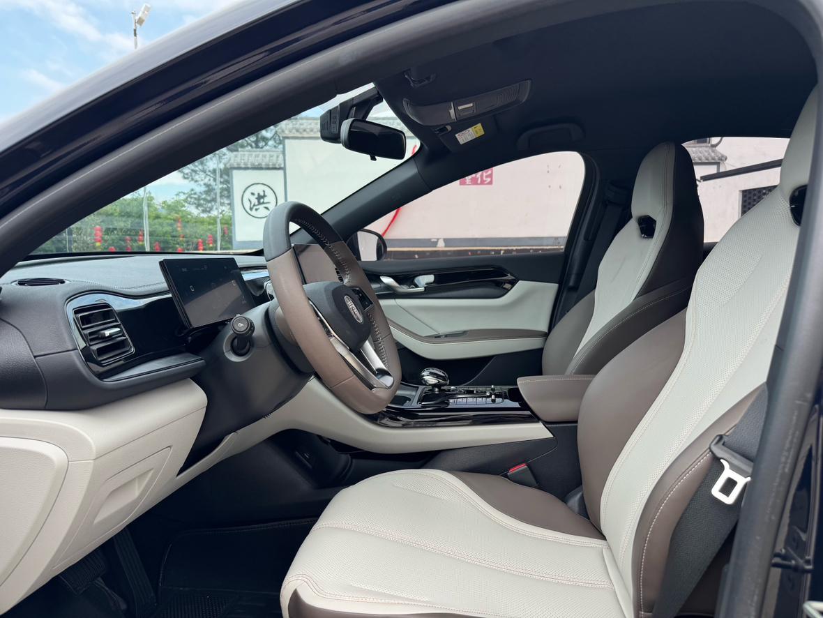 BYD Qin PLUS DM-i 2023 Champion 55KM Base Trim