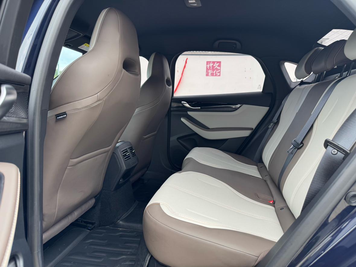 BYD Qin PLUS DM-i 2023 Champion 55KM Base Trim