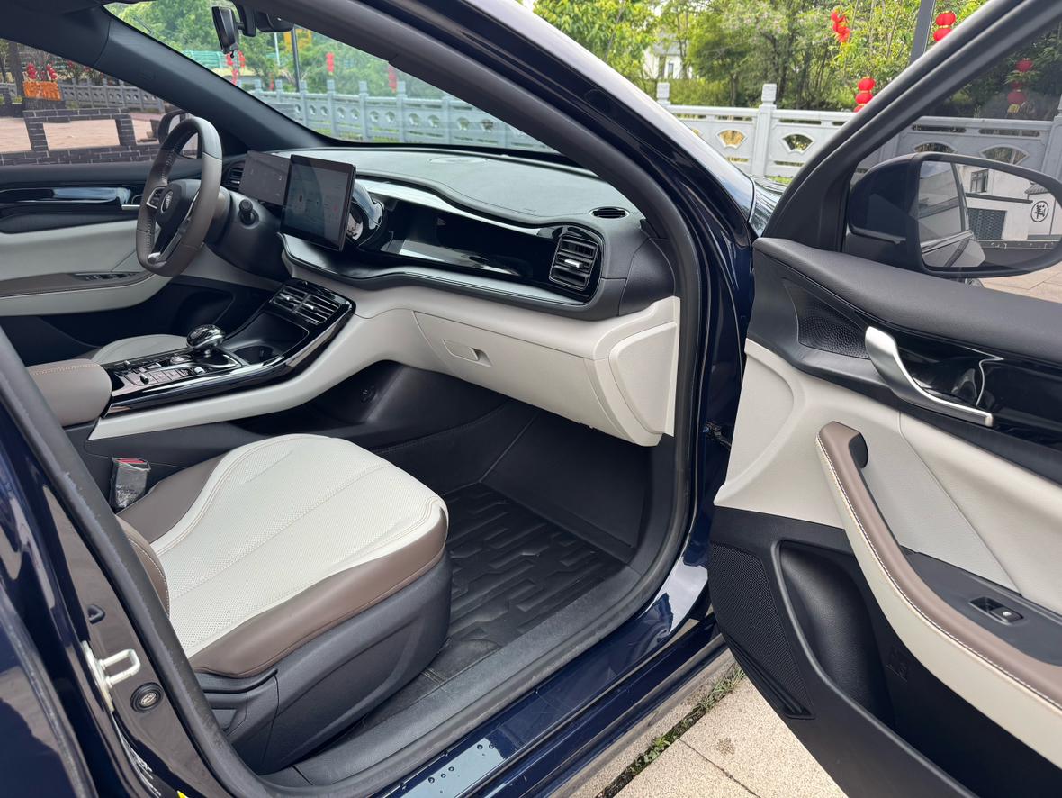 BYD Qin PLUS DM-i 2023 Champion 55KM Base Trim