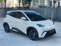 Seagull 2025 Model 305KM Freedom Edition