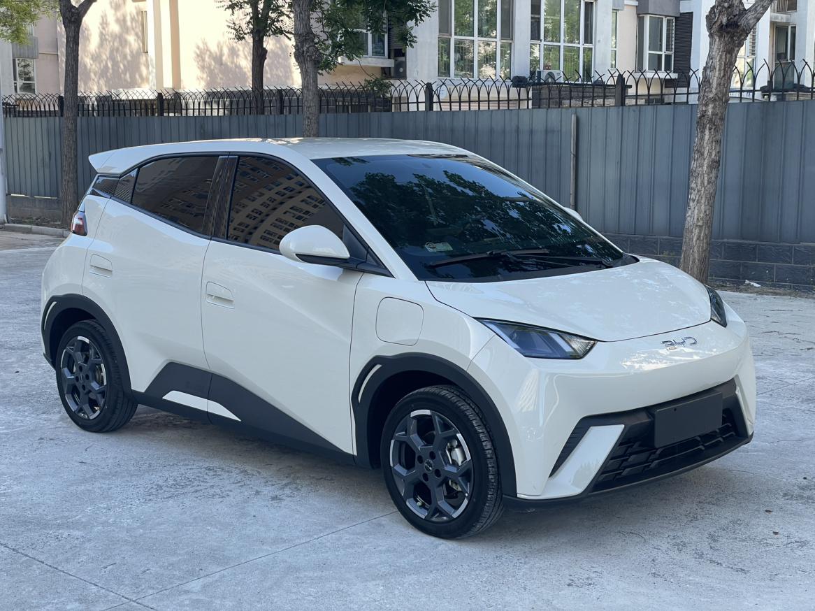 Seagull 2025 Model 305KM Freedom Edition