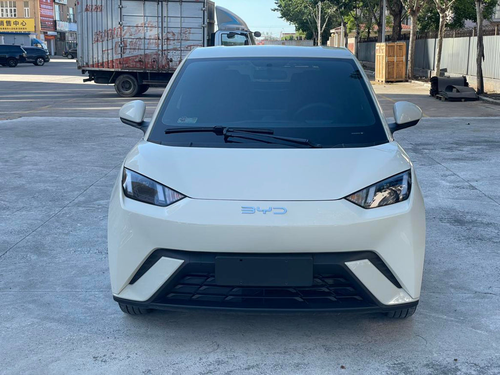 Seagull 2025 Model 305KM Freedom Edition