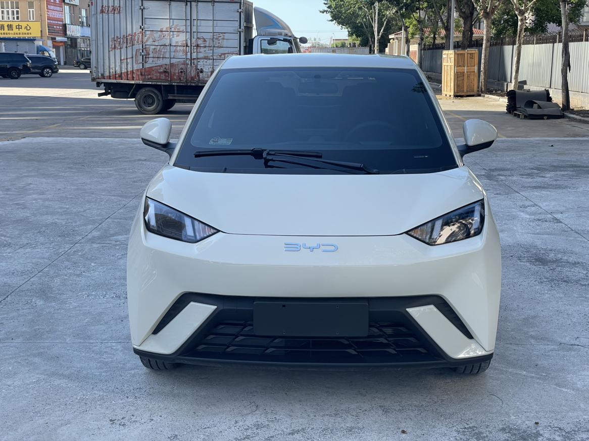 Seagull 2025 Model 305KM Freedom Edition