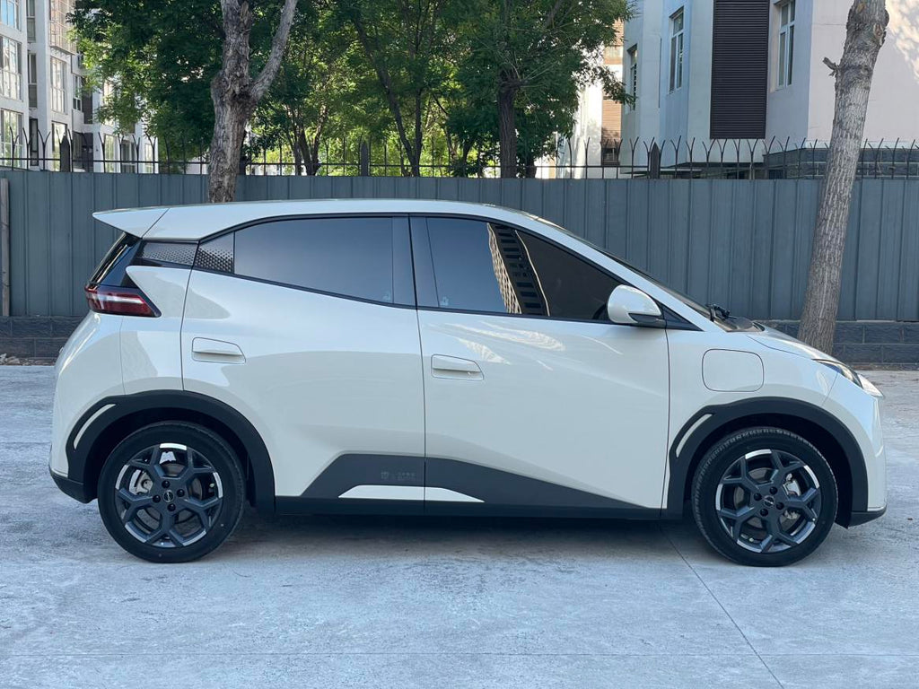 Seagull 2025 Model 305KM Freedom Edition