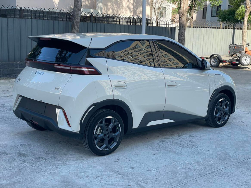 Seagull 2025 Model 305KM Freedom Edition