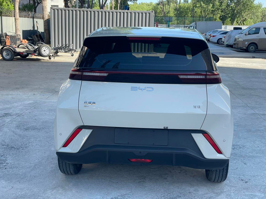 Seagull 2025 Model 305KM Freedom Edition