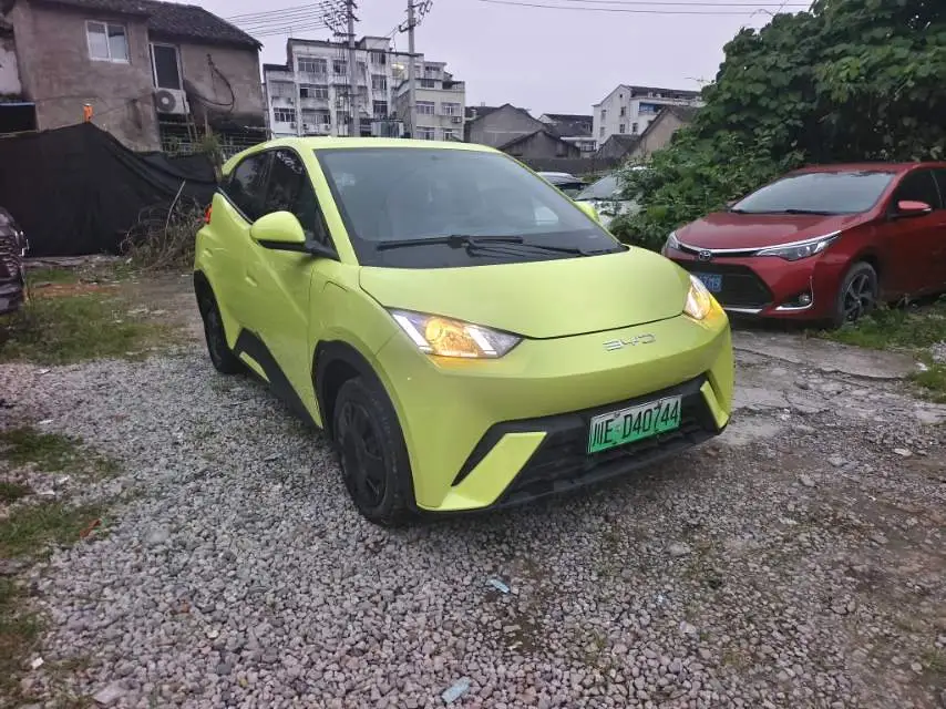 2024 BYD Seagull Honor Edition 305km Freedom Version Automatic Transmission