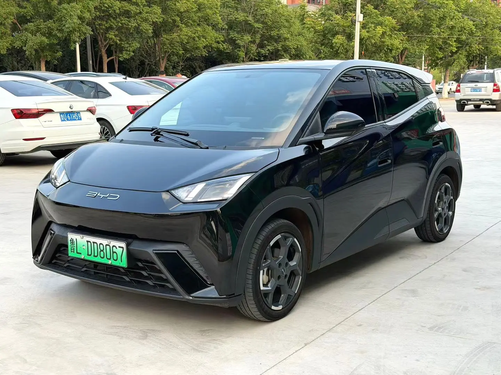 2025 BYD Seagull 305km Freedom Edition Automatic