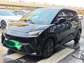 2023 BYD Seagull Vitality Edition Automatic Transmission