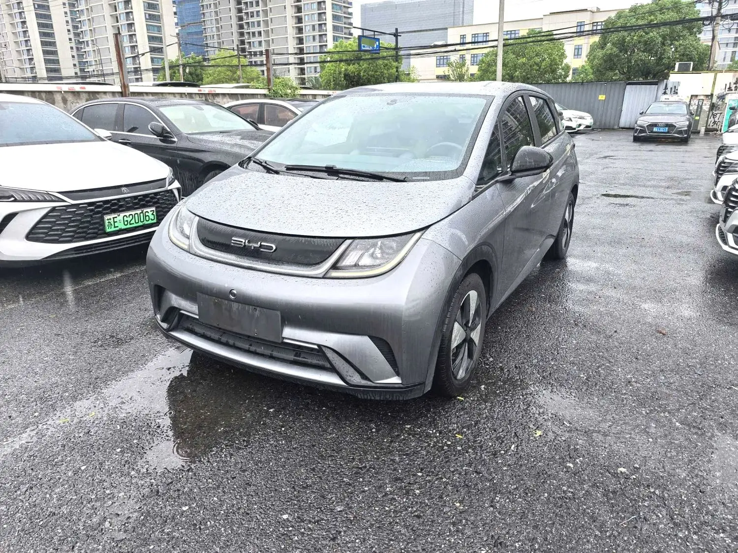 2023 BYD Dolphin 420km Free Version Automatic Transmission
