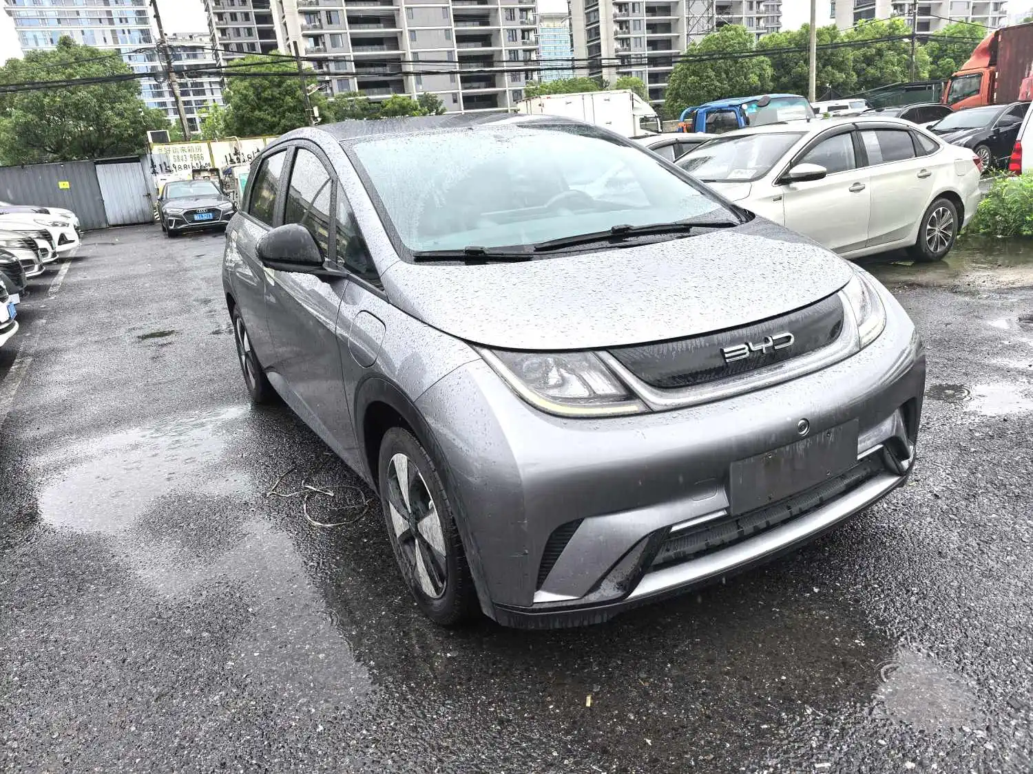 2023 BYD Dolphin 420km Free Version Automatic Transmission